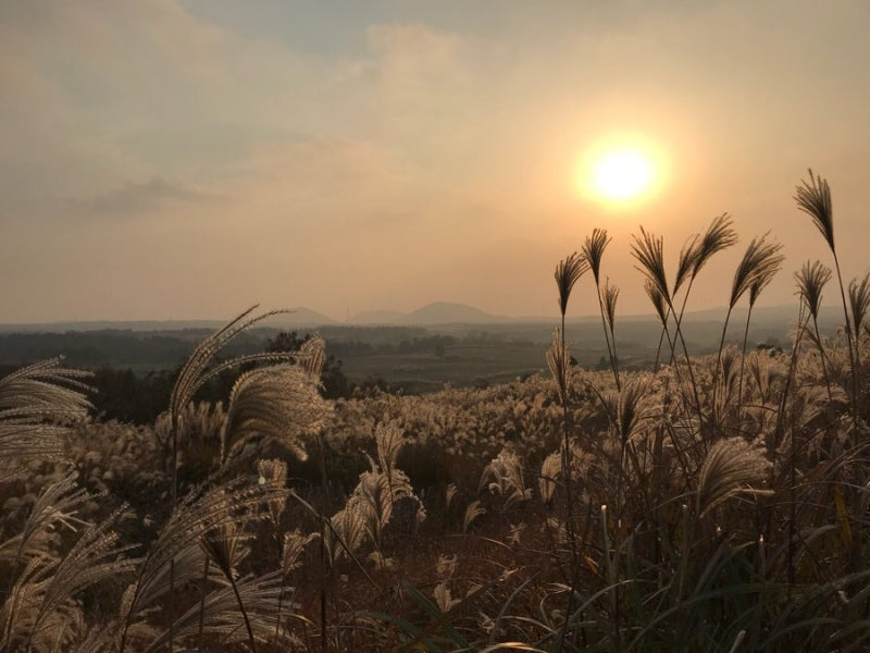 새별오름