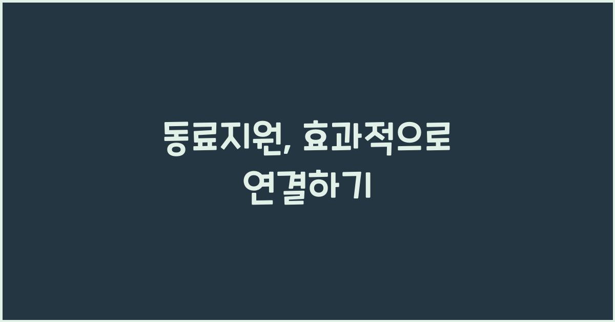동료지원