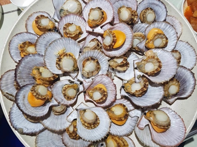 가리비 효능 10가지 7