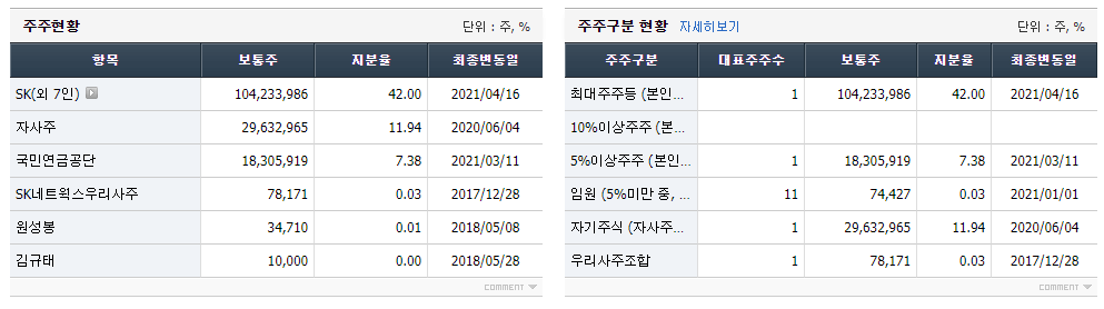 SK네트웍스 최대주주 및 주요주주 현황