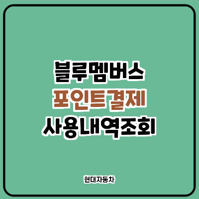  블루멤버스 포인트 카드/ CU결제/적립/사용내역 조회