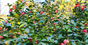 거제-해금강-우제봉