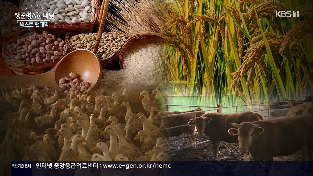 생로병사의 비밀.E914.240606p-NEXT.mp4_20240606_170502.628.jpg