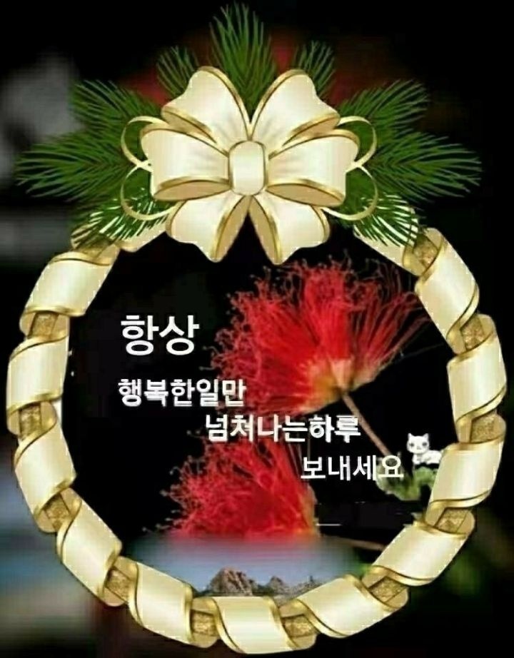  오늘의 좋은글 229번째 성공은 개인적이고 주관적인 계념이지만 많은 성공한 사람들이 거칠은 몇 가지