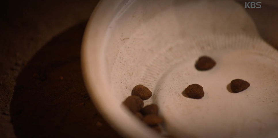 무렵 장난 정체 동백꽃 12