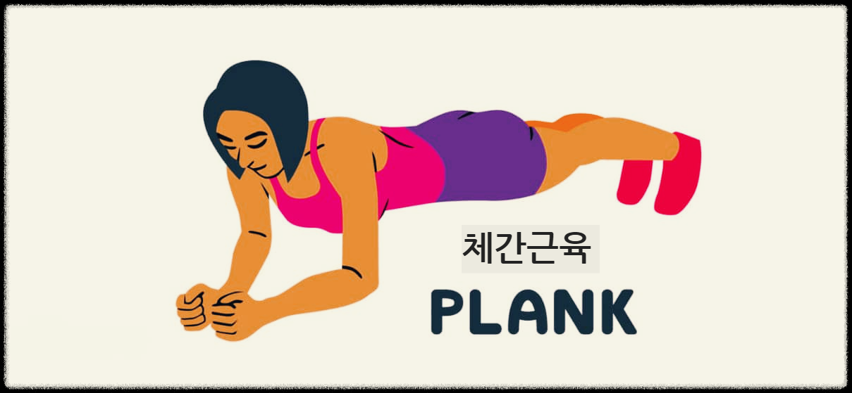  체간근육 : 몸통속에 위치해 몸 전체 중심을 잡아주는 근육