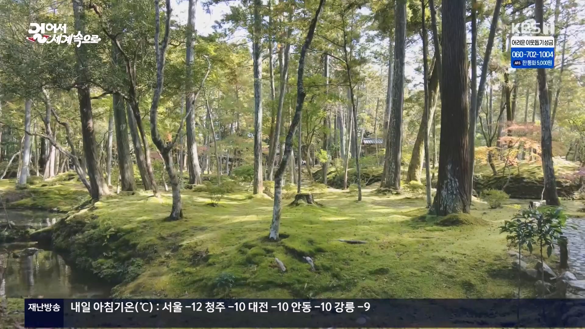 걸어서 세계속으로.E821.231216p.H264-F1RST.mp4_20240127_165050.342.jpg