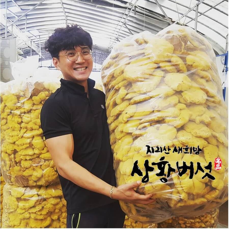 6시내고향 경남 산청 상황버섯 명가 지리산새희망상황버섯 주문방법