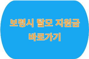 보령시 탈모 치료비 200만원 지원&#44; 지원 내용 및 신청 방법