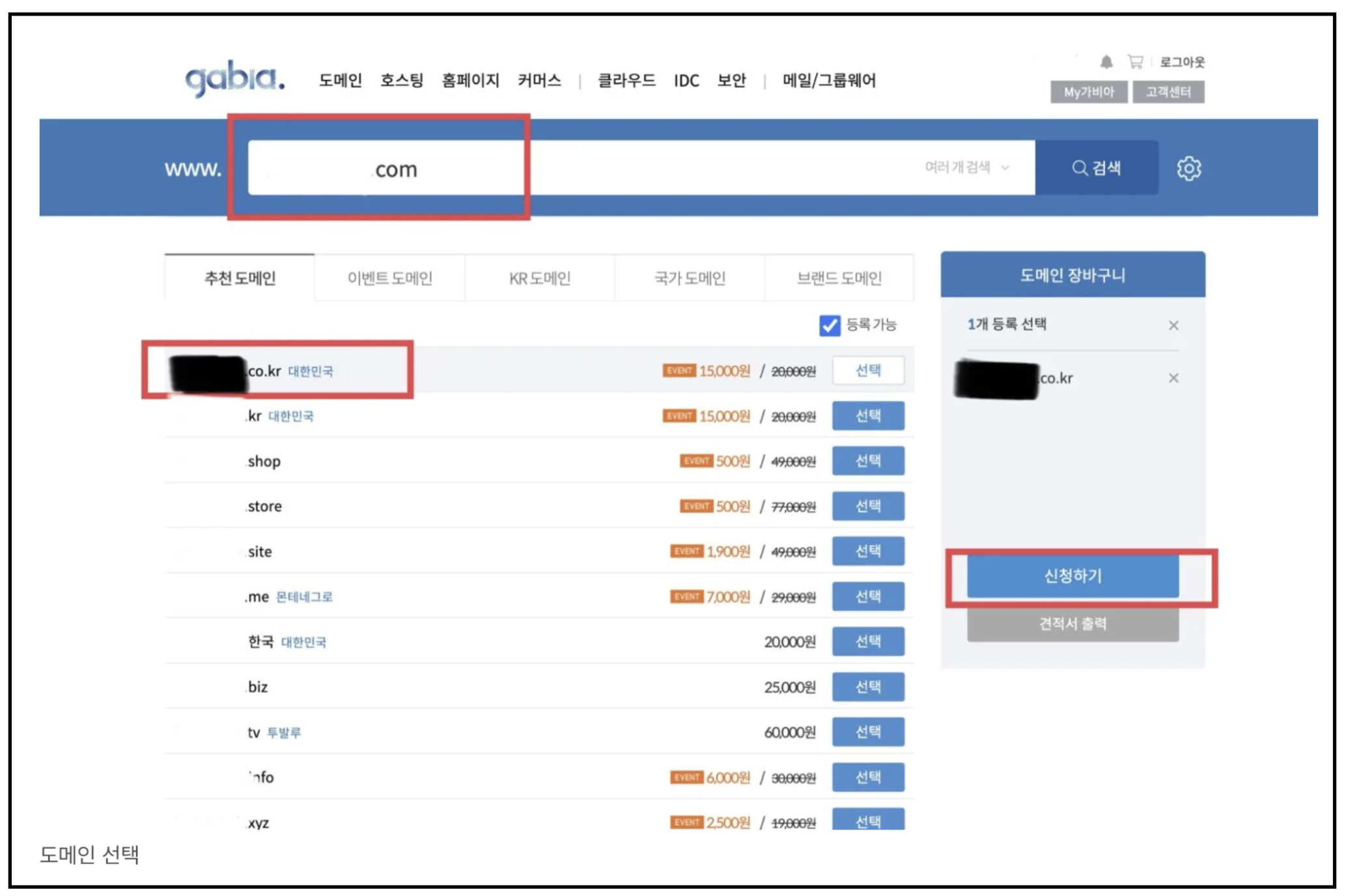 도메인 선택