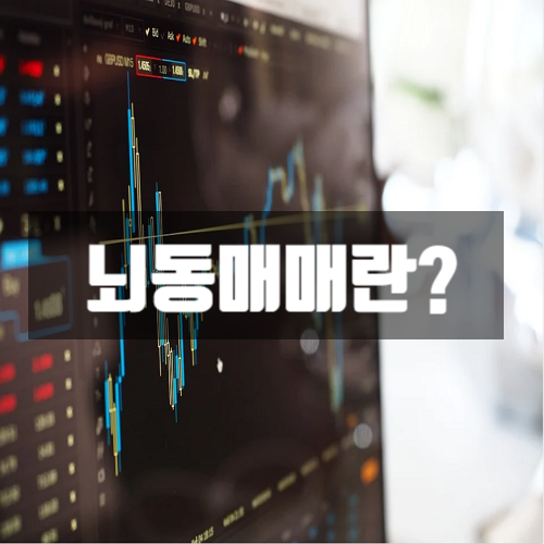  뇌동매매란?