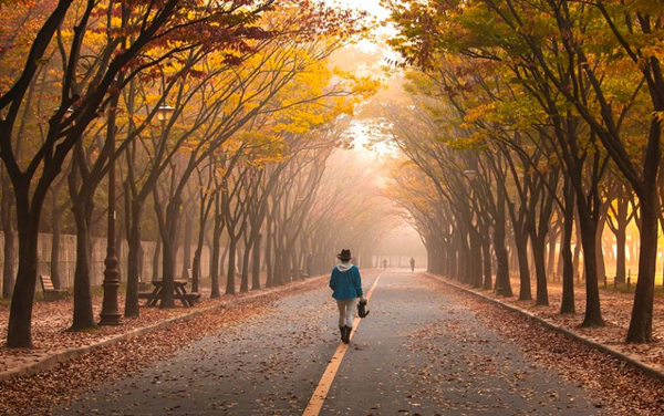 복부지방 빼는 방법(걷기 운동)4