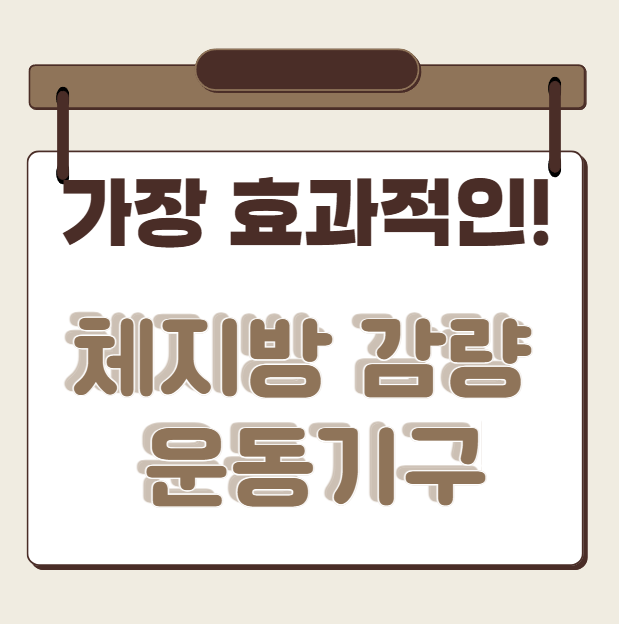 가장효과적인 체지방감량운동기구