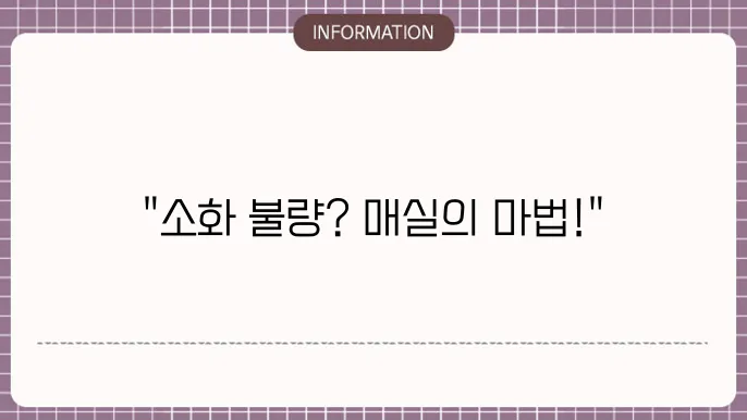소화안될때 매실