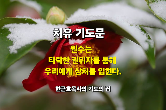  치유 기도문 _ 원수는 타락한 권위자를 통해 우리에게 상처를 입힌다.