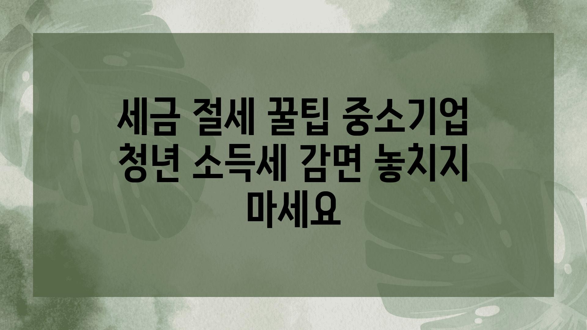 세금 절세 꿀팁 중소기업 청년 소득세 감면 놓치지 마세요