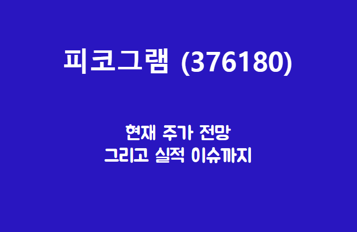  피코그램 (376180) 주가, 실적, 전망, 기업분석