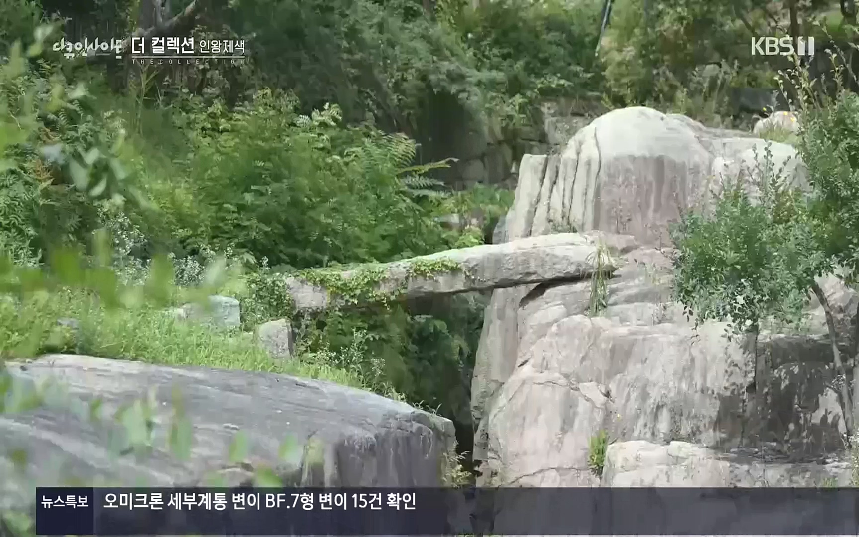 다큐 인사이트.E126.221006p.H264-F1RST.mp4_20221009_194102.101.jpg