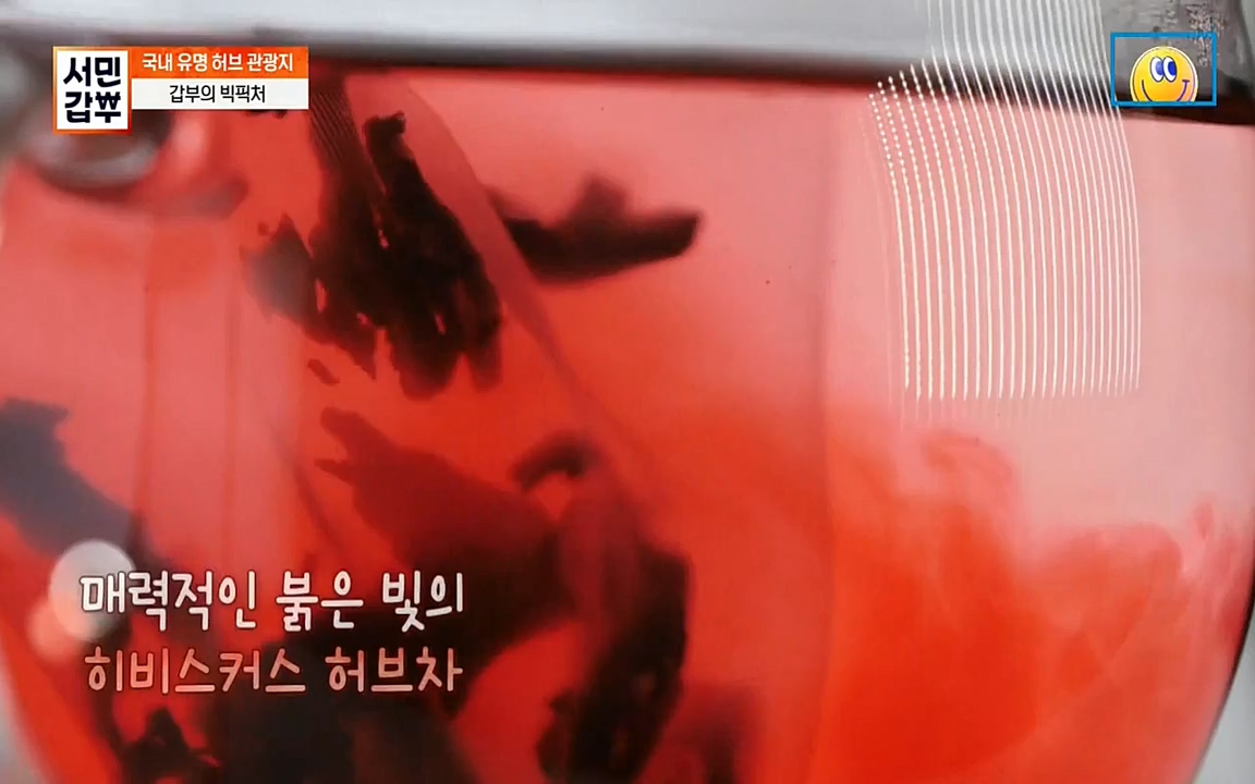 서민 갑부.E380.220424p-NEXT.mp4_20220424_184347.620.jpg