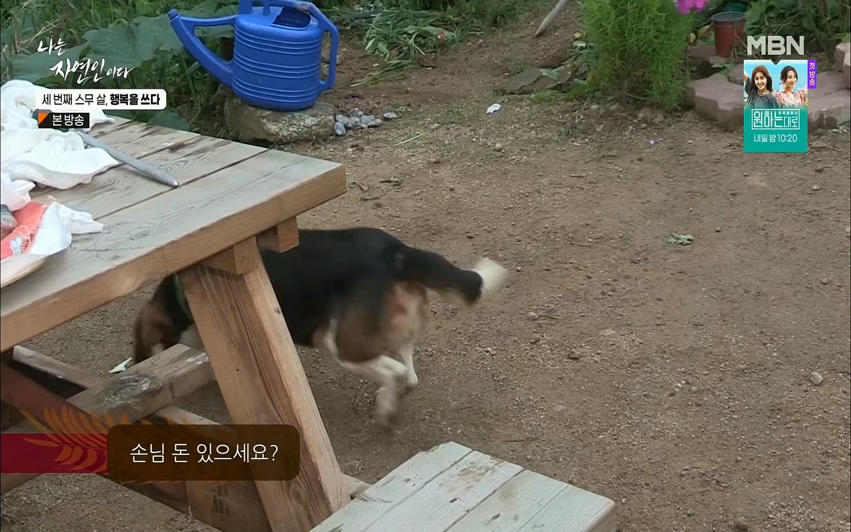 나는 자연인이다.E516.220824p.H264-F1RST.mp4_20220825_164145.266.jpg