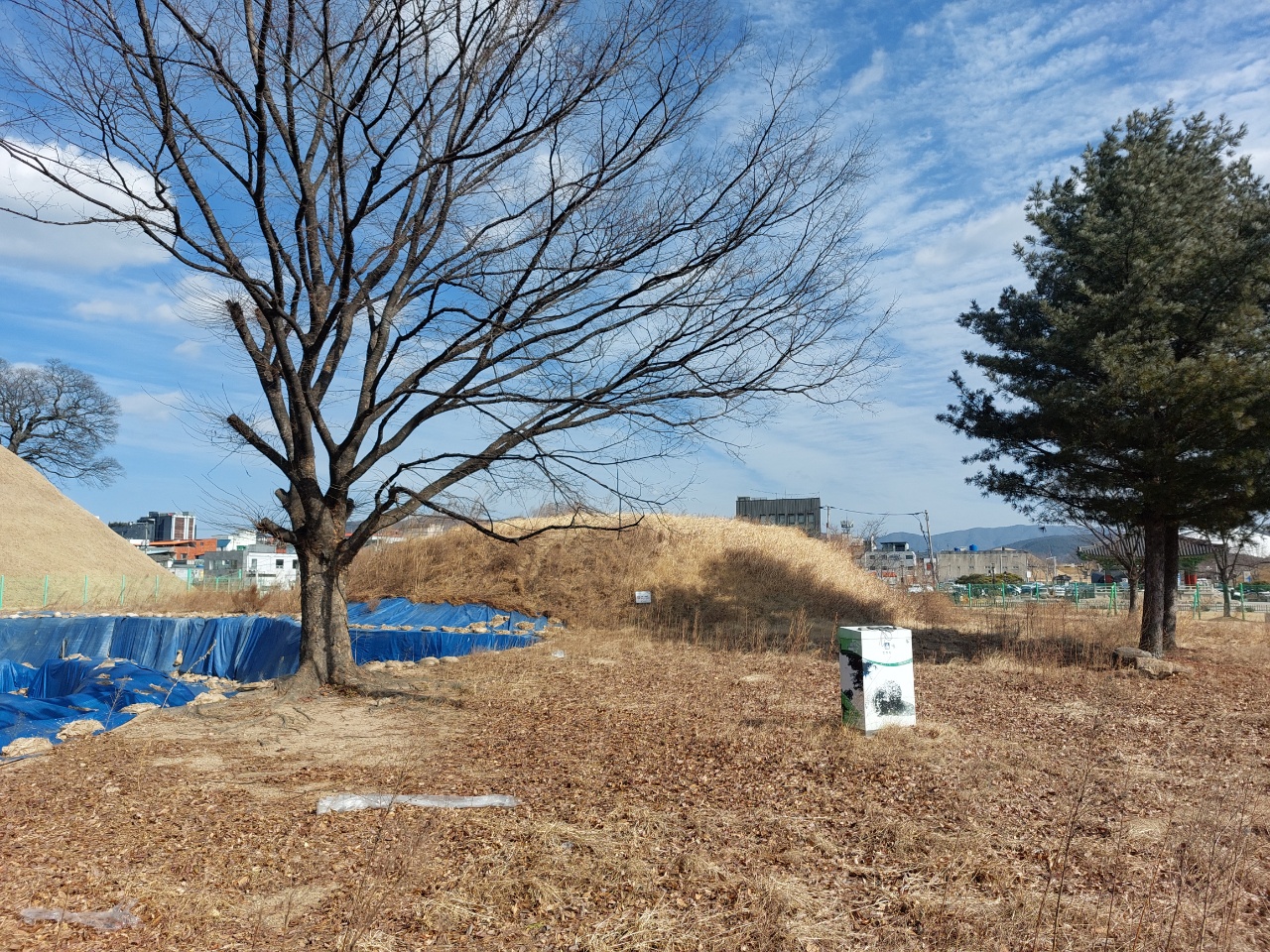 식리총과 금령총