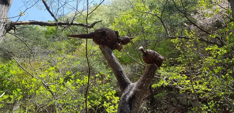 밀양 구만산