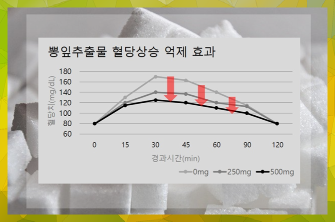 gi지수 GI지수 낮은 음식, 7
