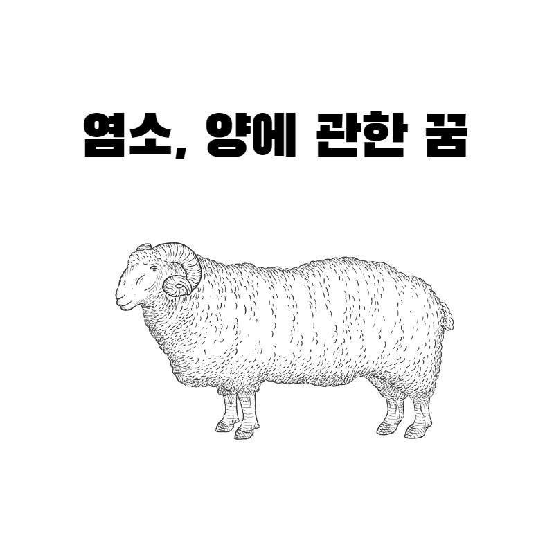 염소&#44; 양에 관한 꿈