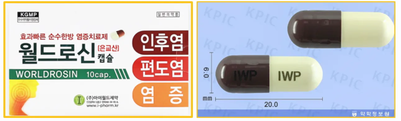 외형
