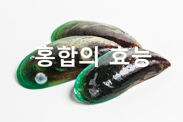  홍합철 - 효능 및 손질법 , 초록입홍합이 관절에 좋은 이유
