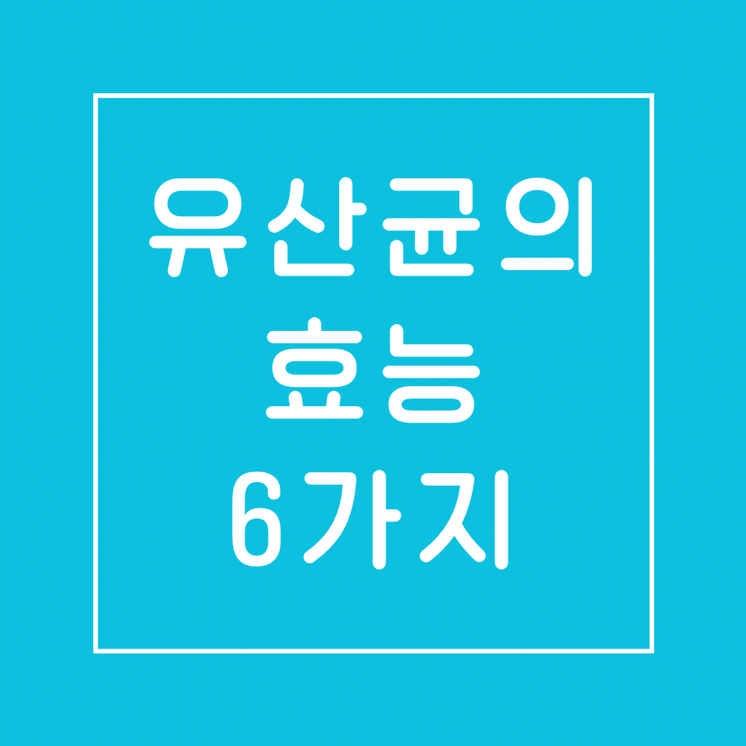 유산균의-효능