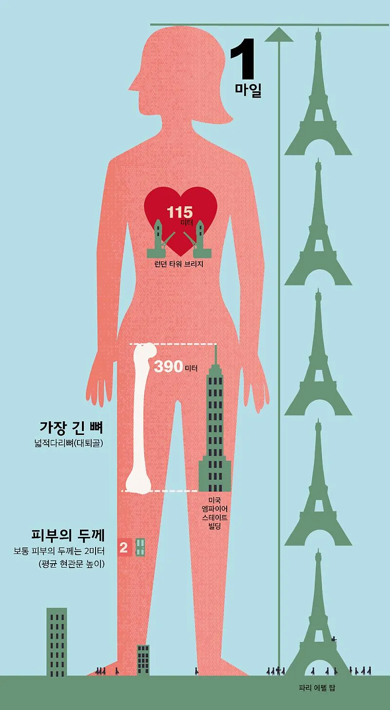1마일은 몇킬로 몇킬로미터인지 거리 단위 환산표 정리_2
