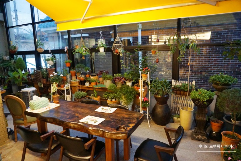 전주 애견카페전주 중화산동 카페 4