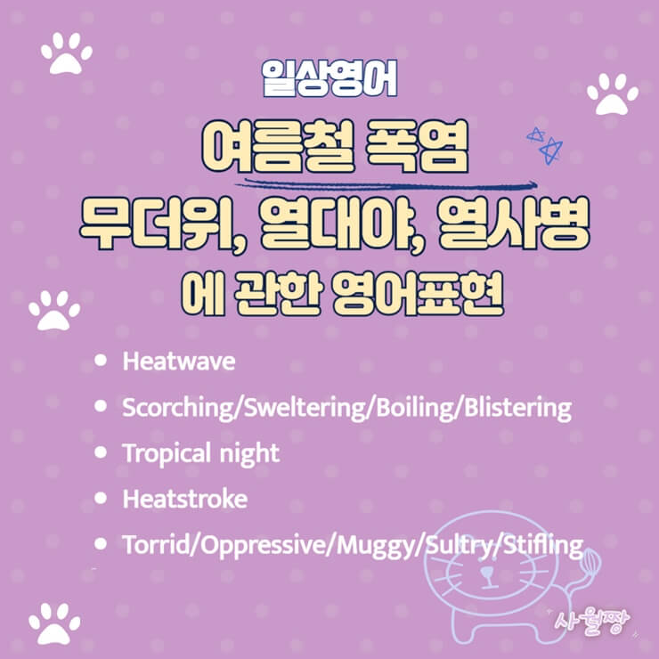 여름철-더위에-관한-영어표현