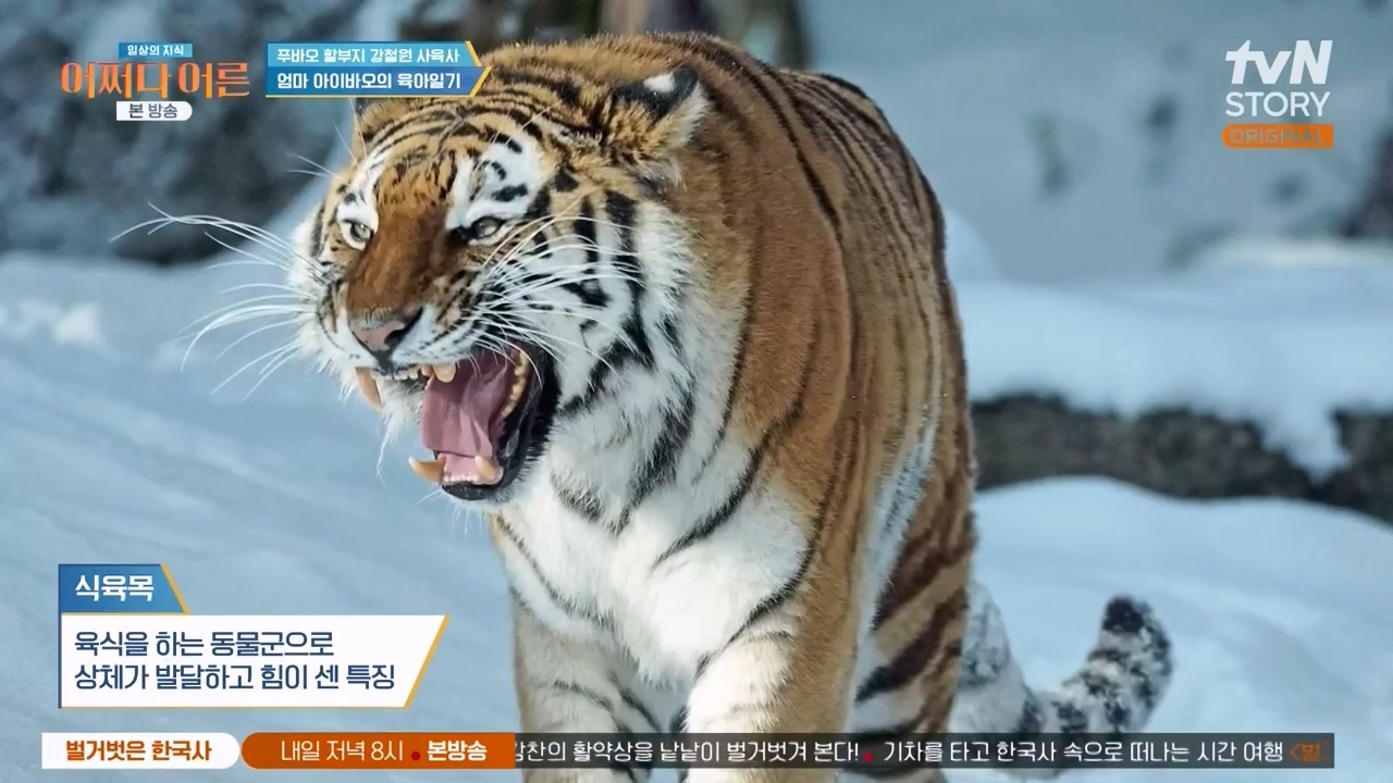 어쩌다 어른.E41.240131p-NEXT.mp4_20240201_202214.170.jpg