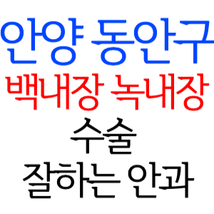 안양 동안구 백내장 녹내장 수술잘하는곳 안과 병원 추천 후기 수술 가격 비용 비교 스마일라식 라섹 드림렌즈 노안 노인 근시 시력교정 렌즈 시력검사 망막 종합검진