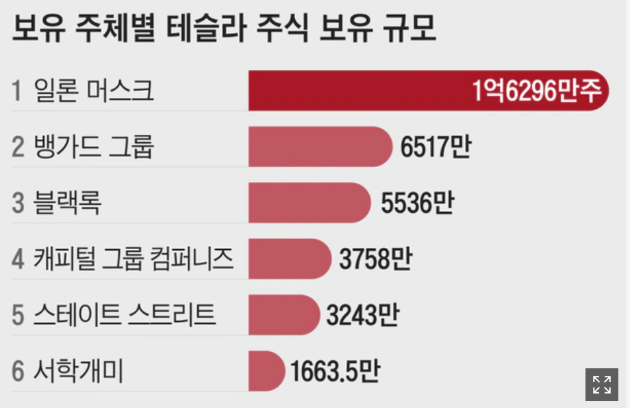 테슬라의 6대주주, 1위 일론 머스크 부터 6위는 서학개미로 나온 통계그래프