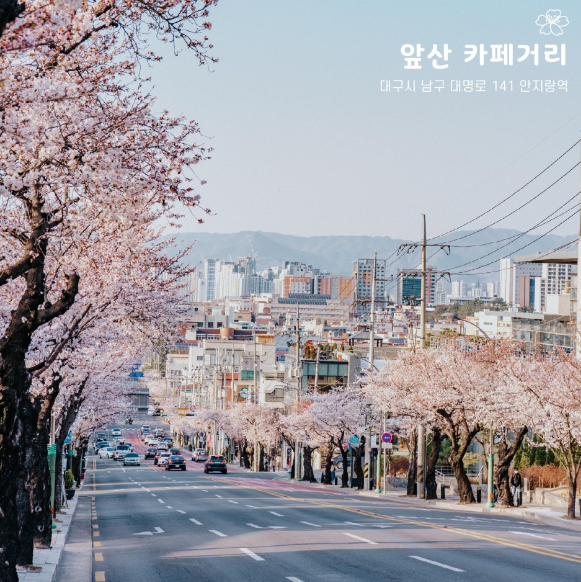 앞산 카페거리 1