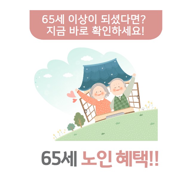 65세 이상 노인 혜택