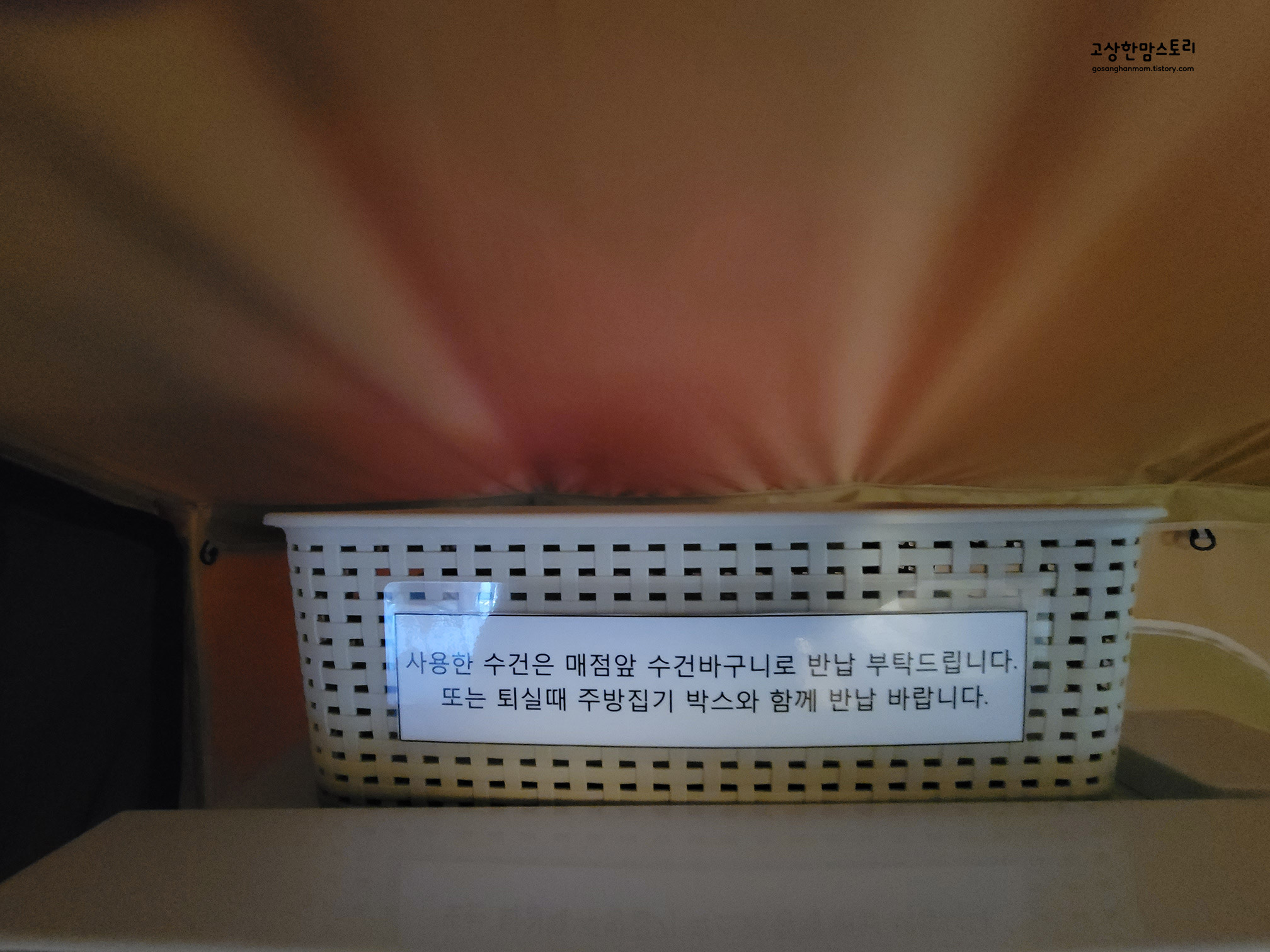영월-월드니스-글램핑