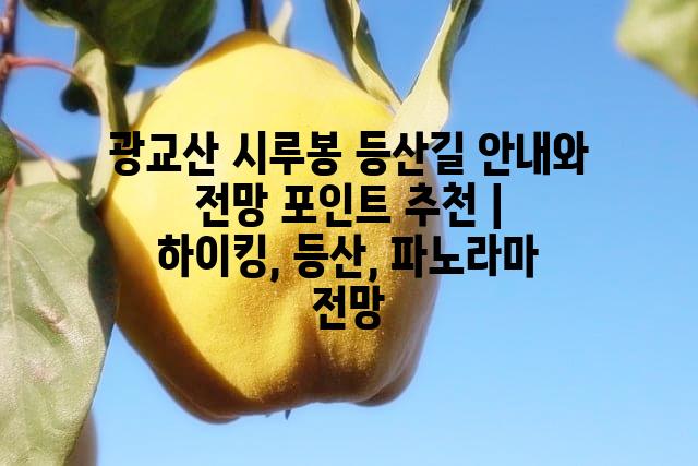 랜덤189