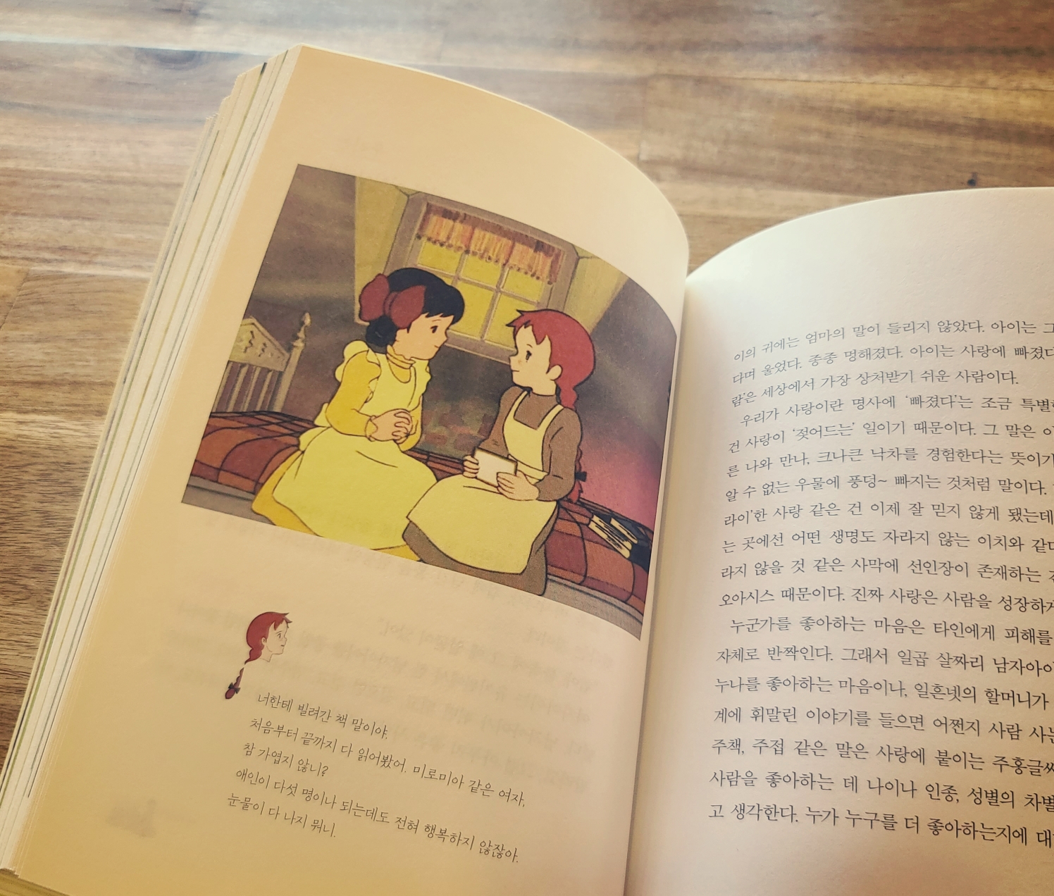  그 시절 그 소녀와 함께  했던'빨강머리 앤이 하는 말'  저자 백영옥