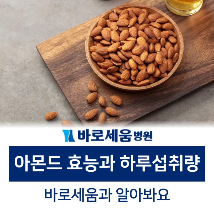 아몬드 효능 하루 섭취량 칼로리_8