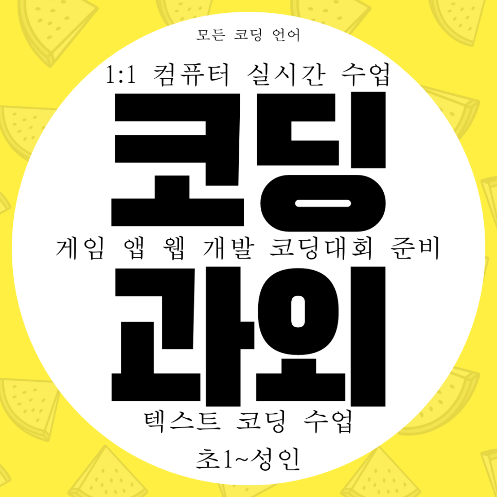  양주 코딩 컴퓨터 학원 과외 선생님 1:1 수업 원격으로 합니다.