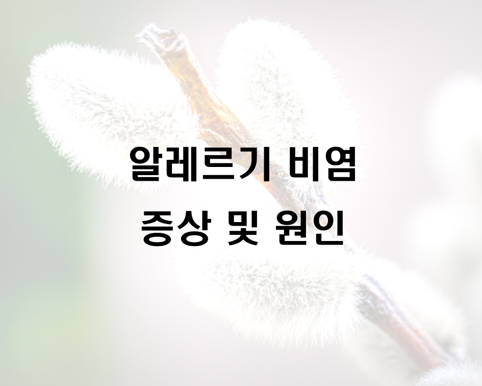  영유아기 알레르기 비염 증상 및 원인