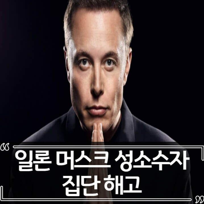  일론 머스크 성소수자 직원 집단 해고 - 테슬라 주가 폭등