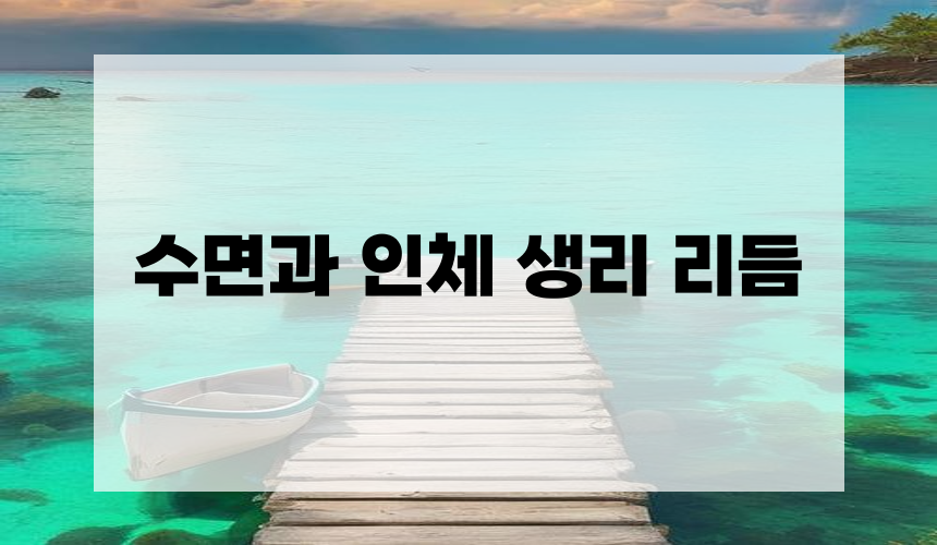 수면과 인체 생리 리듬