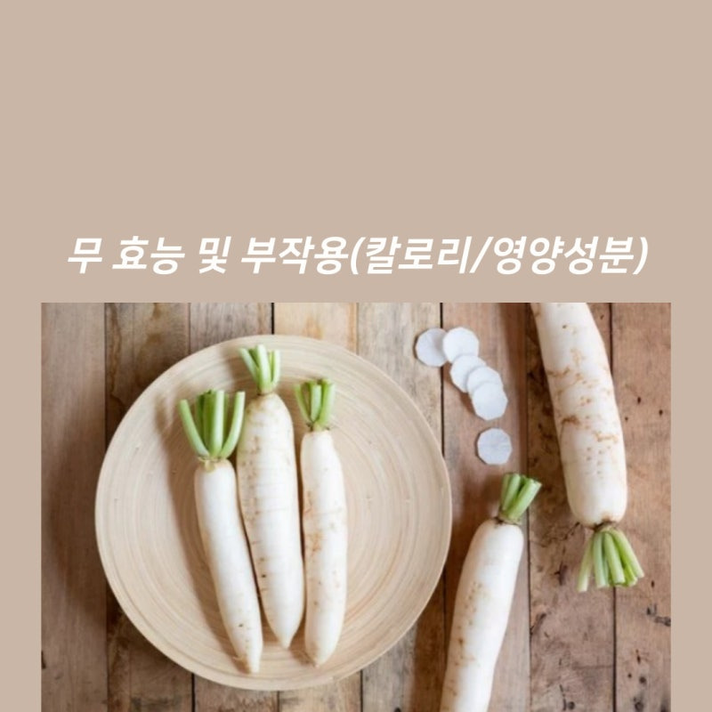 무 효능 및 부작용