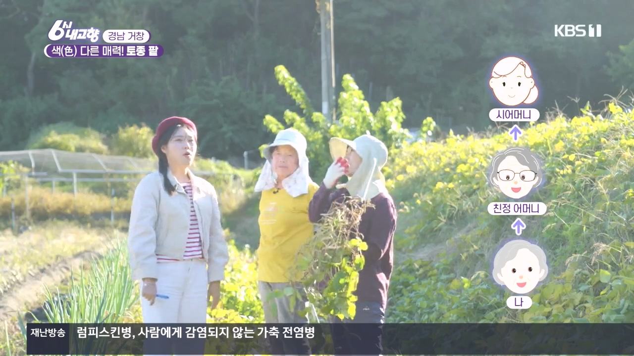 6시 내고향.E7897.231025p.H264-F1RST.mp4_20231025_195923.836.jpg
