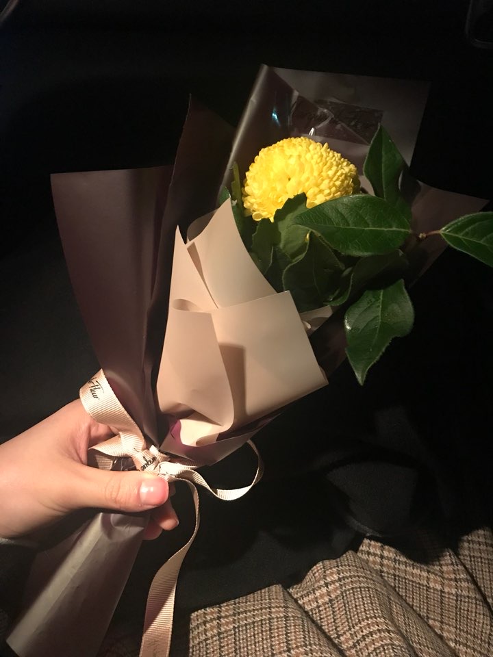  꽃 선물 추천 3. 퐁퐁(폼폰)국화(퍼스트가든 국화축제)